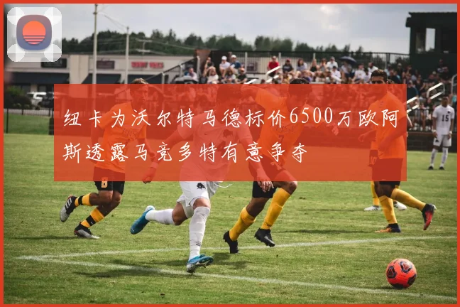 纽卡为沃尔特马德标价6500万欧阿斯透露马竞多特有意争夺
