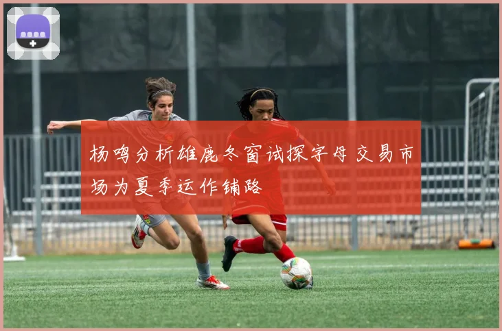 杨鸣分析雄鹿冬窗试探字母交易市场为夏季运作铺路
