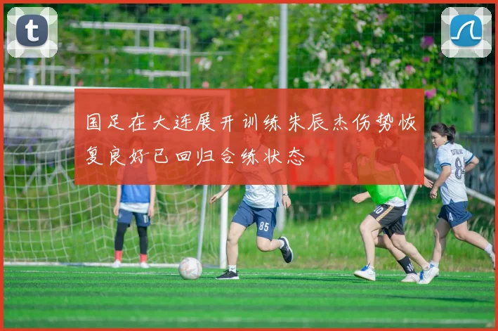 国足在大连展开训练朱辰杰伤势恢复良好已回归合练状态